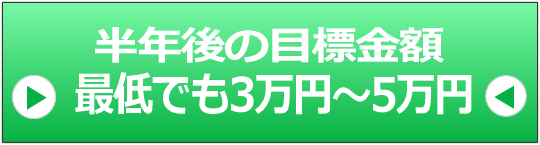 年金副業ブログラムボタン2のイメージ画像